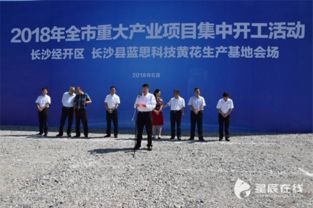 長(zhǎng)沙市經(jīng)濟(jì)和信息化委員會(huì)經(jīng)濟(jì)信息咨詢服務(wù)解讀